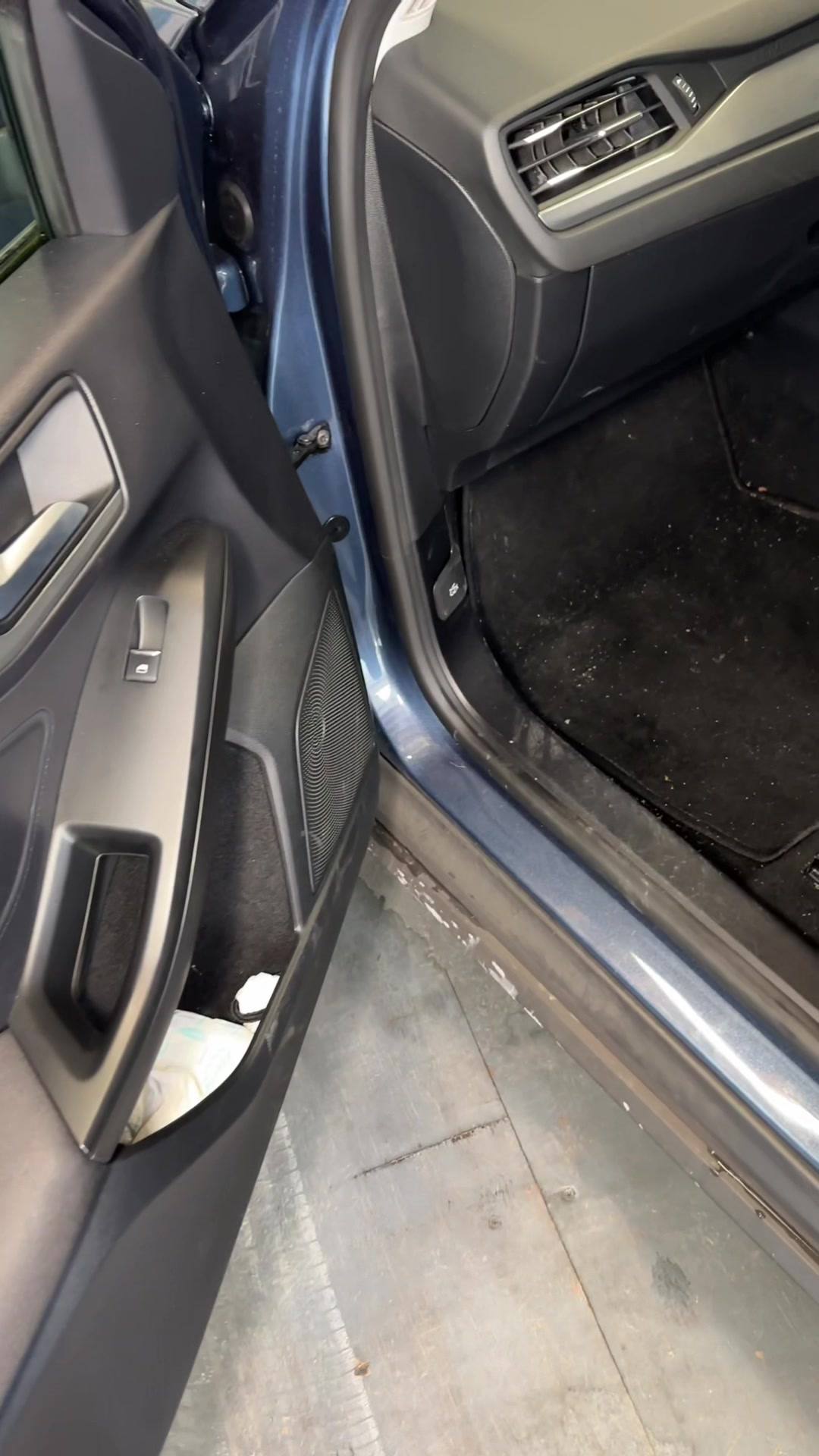 Cleaned interior of a car door and floor mat